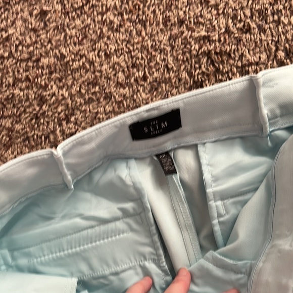 Light mint blue green WHBM slacks sz 10L 10 long - Picture 4 of 9